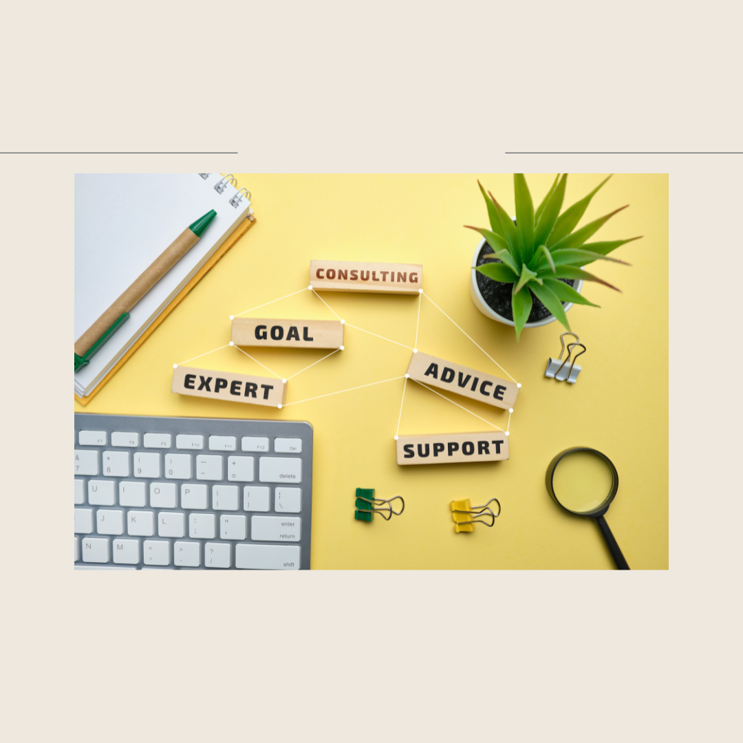 Initial Business Consultation — $100 Plan